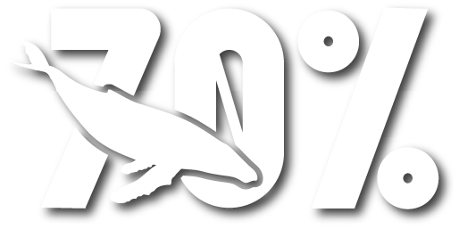 70% Digital Magazine Smaller