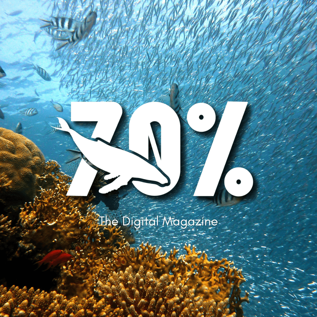 70% digital magazine cover resized