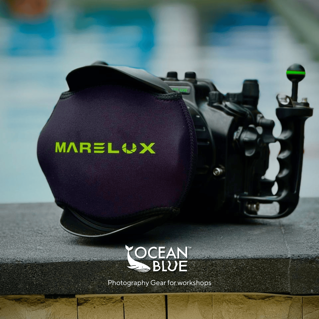 Gear for photography cover