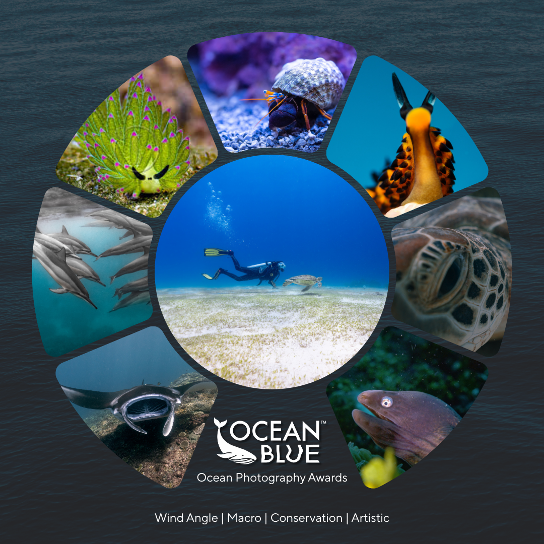 Ocean Photography Awards Cover