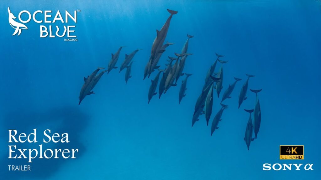 Red Sea Explorer Trailer